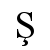 Ş | Times New Roman, Regular